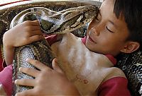 Fauna & Flora: Oun Sambvath and Cham Roeun, boy with his python friend, Set-Tbau, Cambodia