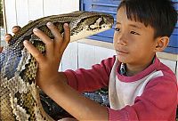 Fauna & Flora: Oun Sambvath and Cham Roeun, boy with his python friend, Set-Tbau, Cambodia