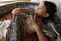 TopRq.com search results: Oun Sambvath and Cham Roeun, boy with his python friend, Set-Tbau, Cambodia