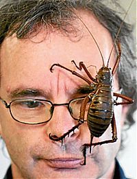 TopRq.com search results: giant weta