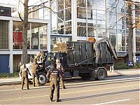 Fauna & Flora: Bear cub caught in garbage truck in downtown Vancouver, Canada