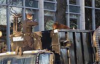 Fauna & Flora: Bear cub caught in garbage truck in downtown Vancouver, Canada