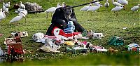 Fauna & Flora: Christmas with the Chimps, Lion Country Safari, Loxahatchee, Palm Beach County, Florida, United States