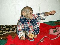 TopRq.com search results: chimpanzee baby adopted by a mastiff dog
