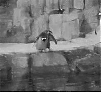 TopRq.com search results: penguins animated