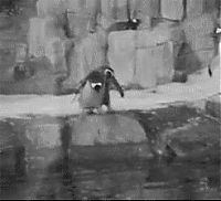 TopRq.com search results: penguins animated