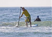 TopRq.com search results: surfing goat