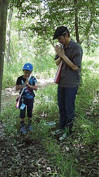 TopRq.com search results: the life of a hercules beetle