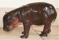 Fauna & Flora: 6-day-old baby hippopotamus calf