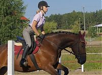 Fauna & Flora: girl with a horse