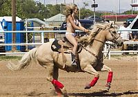 Fauna & Flora: girl with a horse