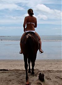 TopRq.com search results: girl with a horse