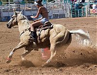 Fauna & Flora: girl with a horse