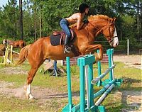 Fauna & Flora: girl with a horse