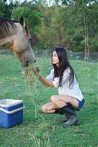 TopRq.com search results: girl with a horse