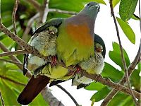 Fauna & Flora: animal photography