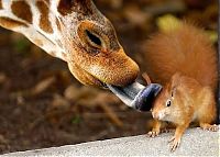 Fauna & Flora: animal photography