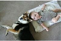 Fauna & Flora: dog and the child friends