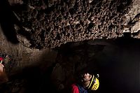 Fauna & Flora: bats in the cave