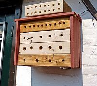 Fauna & Flora: bee insect hotel structure