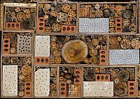 Fauna & Flora: bee insect hotel structure