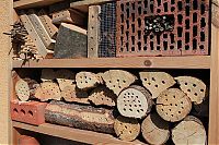 Fauna & Flora: bee insect hotel structure