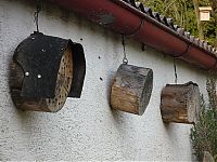 Fauna & Flora: bee insect hotel structure