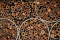 Fauna & Flora: bee insect hotel structure