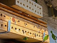 Fauna & Flora: bee insect hotel structure