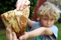 Fauna & Flora: Ambergris, whale vomit