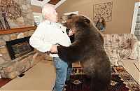 Fauna & Flora: Billy, grizzly bear pet, Vancouver, British Columbia, Canada