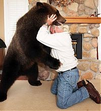 Fauna & Flora: Billy, grizzly bear pet, Vancouver, British Columbia, Canada