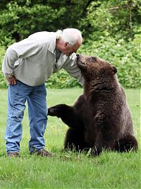 Fauna & Flora: Billy, grizzly bear pet, Vancouver, British Columbia, Canada