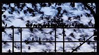British Wildlife Photography Awards 2012