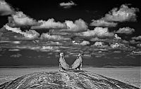 TopRq.com search results: Wildlife Photographer winners 2012