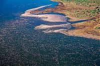 TopRq.com search results: Pink blanket of flamingos, Rift Valley lakes, Nakuru Lake National Park, Kenya