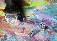 Fauna & Flora: Justin, Friesian horse who paints