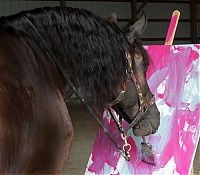 Fauna & Flora: Justin, Friesian horse who paints