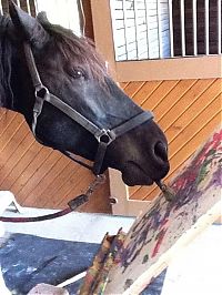 Fauna & Flora: Justin, Friesian horse who paints