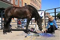 TopRq.com search results: Justin, Friesian horse who paints