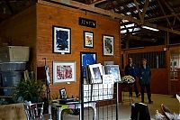 TopRq.com search results: Justin, Friesian horse who paints
