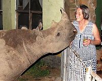 Fauna & Flora: Baby rhino pet, Zimbabwe