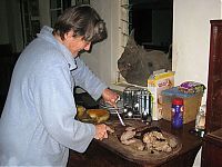 Fauna & Flora: Baby rhino pet, Zimbabwe