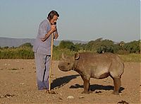 Fauna & Flora: Baby rhino pet, Zimbabwe