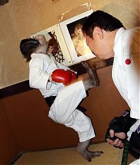 TopRq.com search results: kickboxing combat monkey training