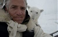 Fauna & Flora: Polar bear attack by Gordon Buchanan