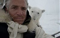 TopRq.com search results: Polar bear attack by Gordon Buchanan