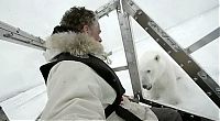 Fauna & Flora: Polar bear attack by Gordon Buchanan