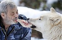 Fauna & Flora: Dining with wolves by Werner Freund