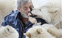 Fauna & Flora: Dining with wolves by Werner Freund